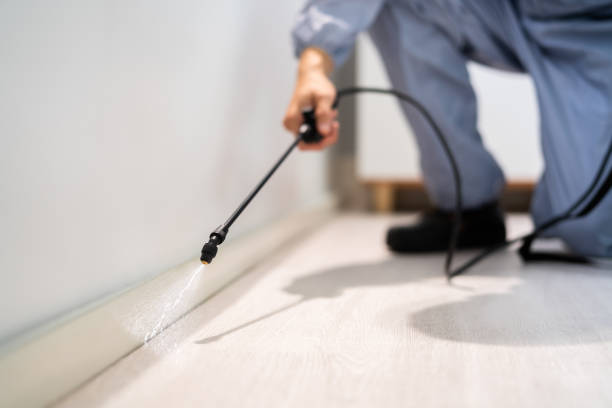 Licensed Termite Control service in Spring Lake, NC - Nex Pest Control