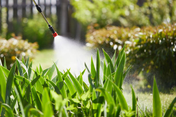24/7 Emergency Termite Control experts in Spring Lake, NC