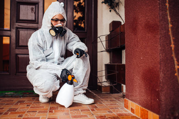 Reliable Termite Control contractor in Spring Lake, NC by Nex Pest Control